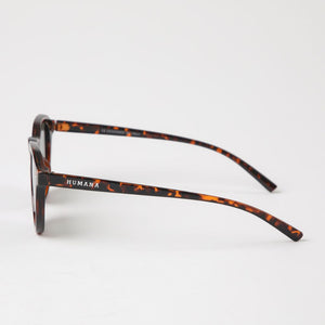 Anteojos de Sol Bonaire Café Humana