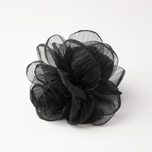 Pinche Romi Negro Humana