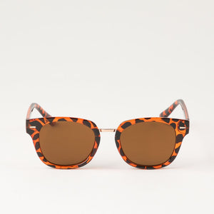 Anteojos de sol Kotao Cuadrado café Bobs