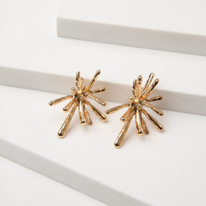 Aros Pegado Submerged Sea Dorado Humana