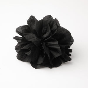 Pinche Tere Negro Humana