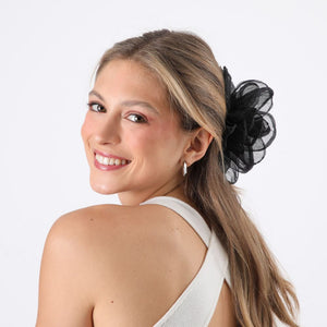 Pinche Romi Negro Humana