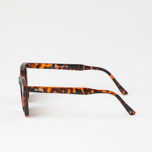 Anteojos de Sol Borabora Café Bobs
