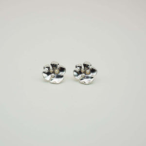 Aros Clip Posy Plateados Tatienne