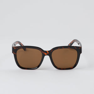 Anteojos Sol Papete Café Bobs