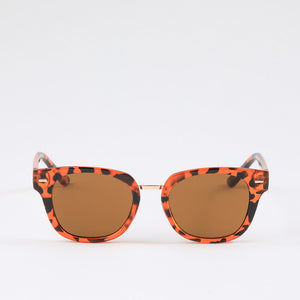 Anteojos Kotao Brown Bobs