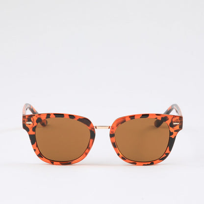 Anteojos Kotao Brown Bobs