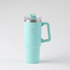 Botella Metálica Turquesa Bobs