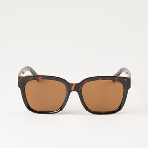 Anteojos de sol Papete Cuadrado café Bobs