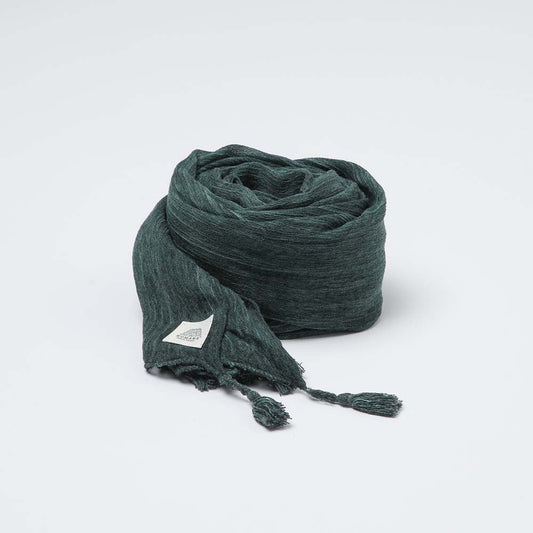 Pañuelo Liso Aragón Verde Humana