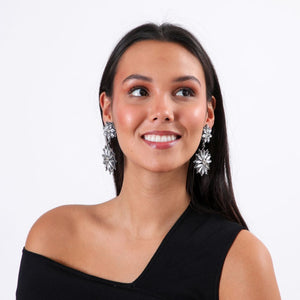 Aros Diana Plateado Humana