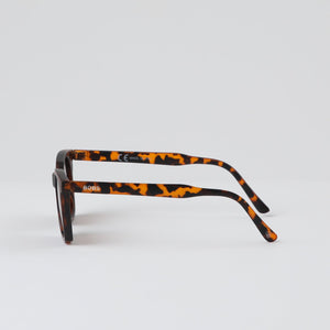 Anteojos Sol Borabora Café Bobs