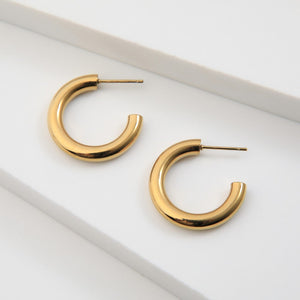 Aros Argollas Ed Gold Humana