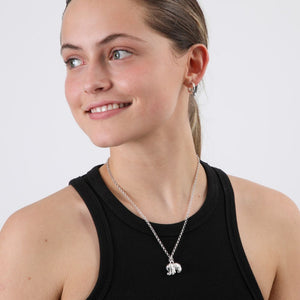 Collar Tori Plateado ID